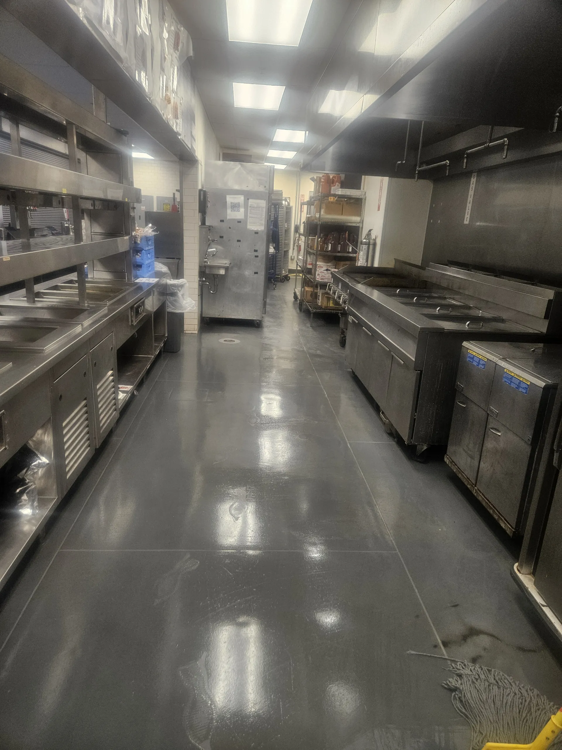 Resized_20250312_235206 copy