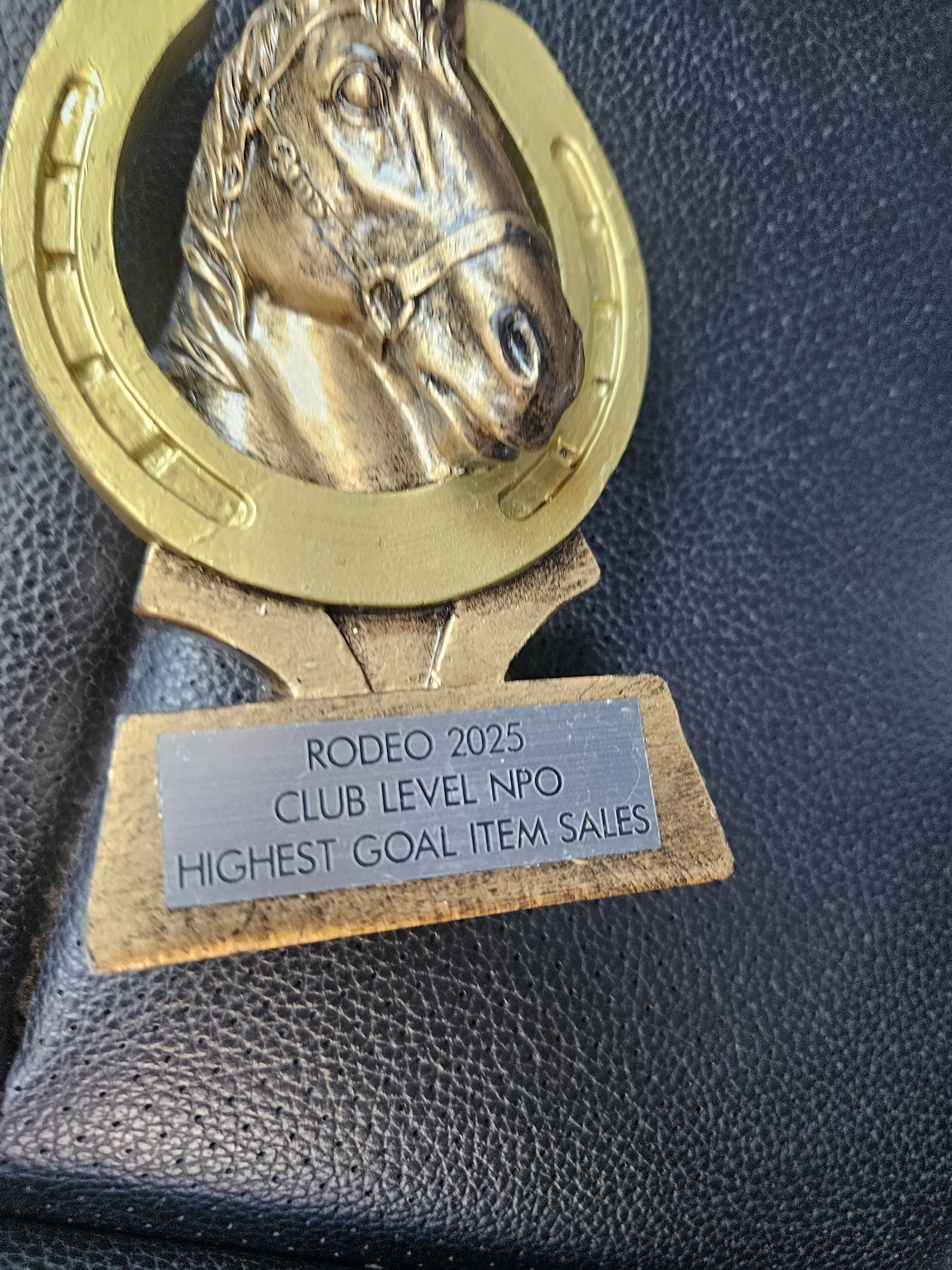 Resized_20250426_145351 copy